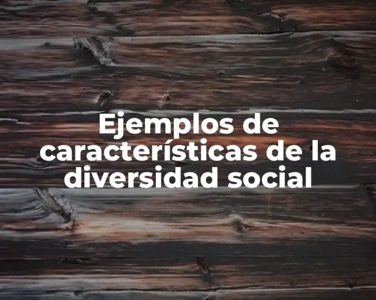 Ejemplos de características de la diversidad social