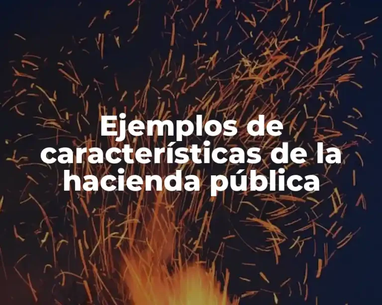 Ejemplos de características de la hacienda pública