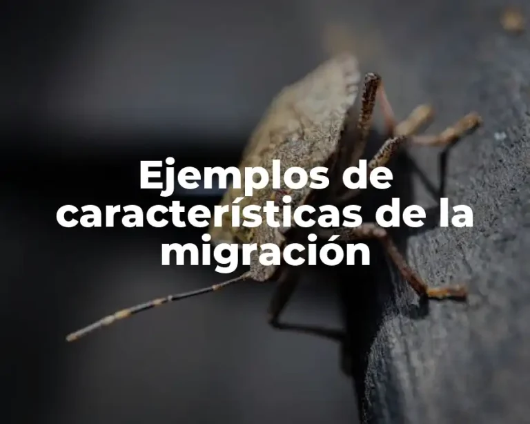 Ejemplos de características de la migración