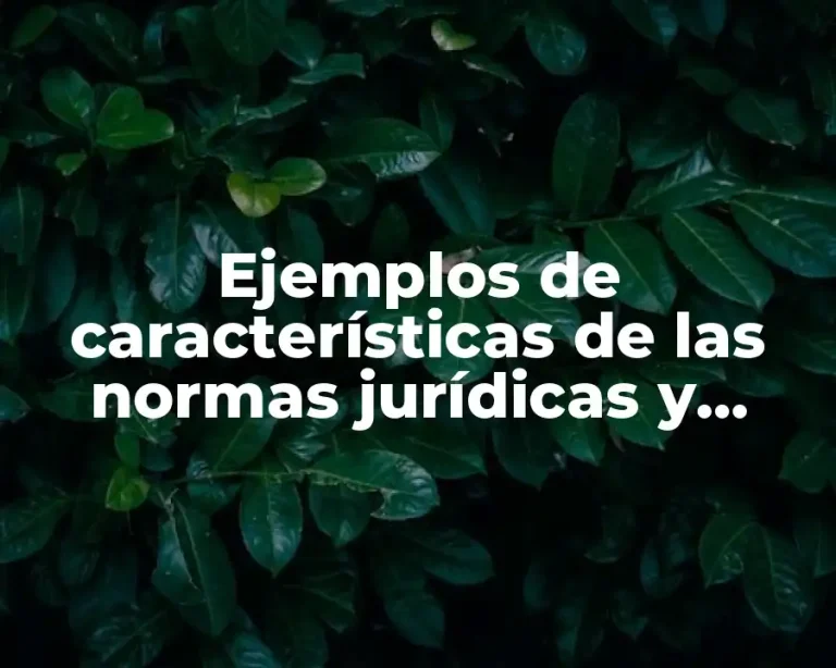Ejemplos de características de las normas jurídicas y Significado