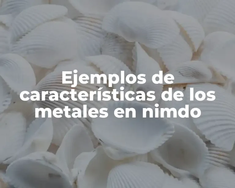 Ejemplos de características de los metales en nimdo
