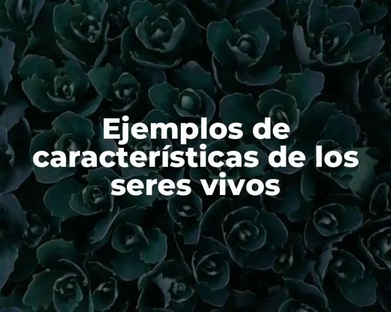 Ejemplos de características de los seres vivos