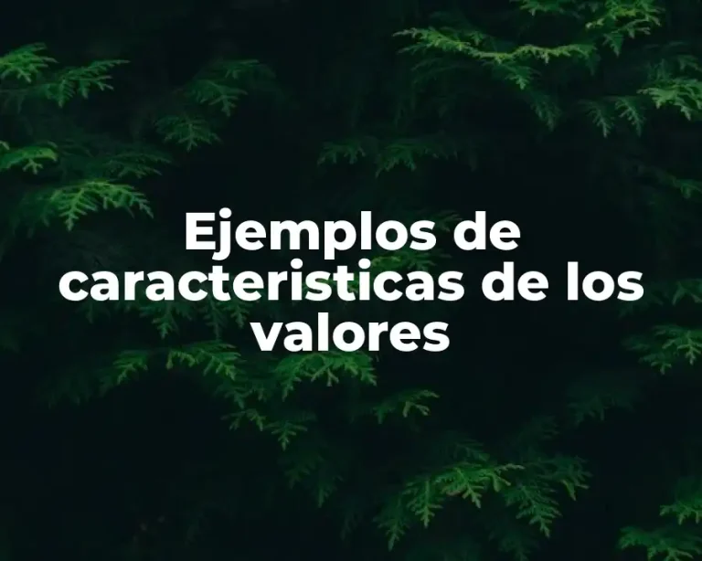 Ejemplos de caracteristicas de los valores