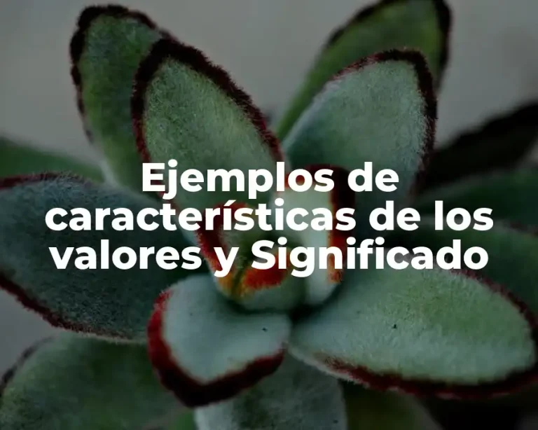 Ejemplos de características de los valores y Significado
