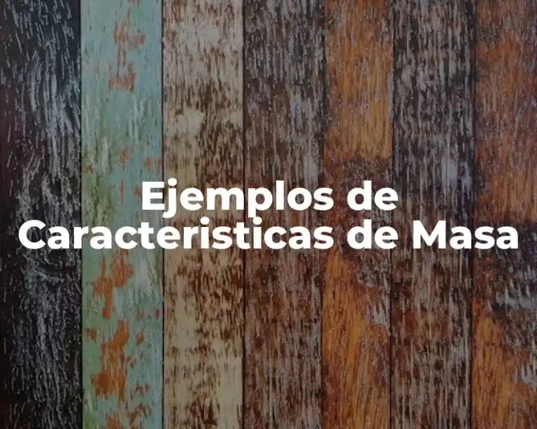 Ejemplos de Caracteristicas de Masa