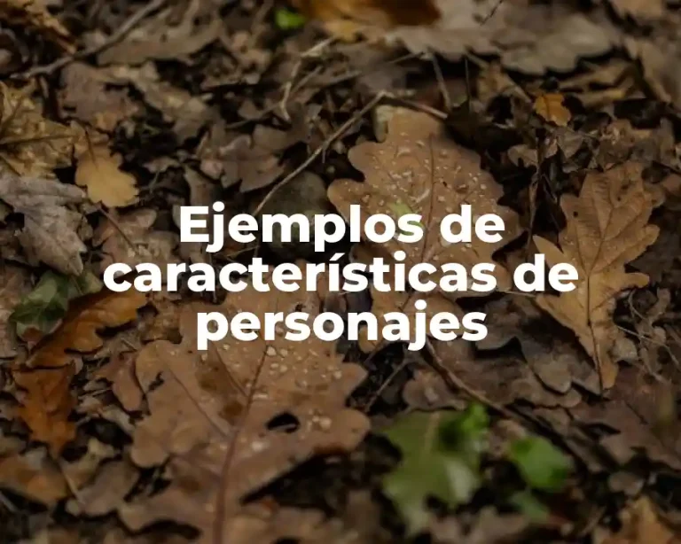 Ejemplos de características de personajes