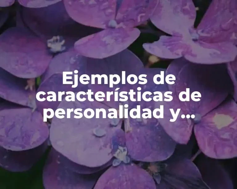 Ejemplos de características de personalidad y Significado
