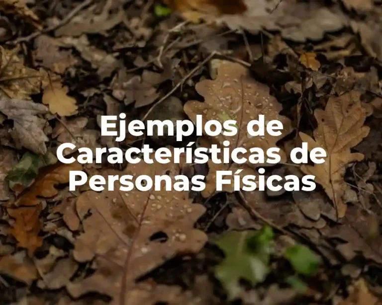 Ejemplos de Características de Personas Físicas