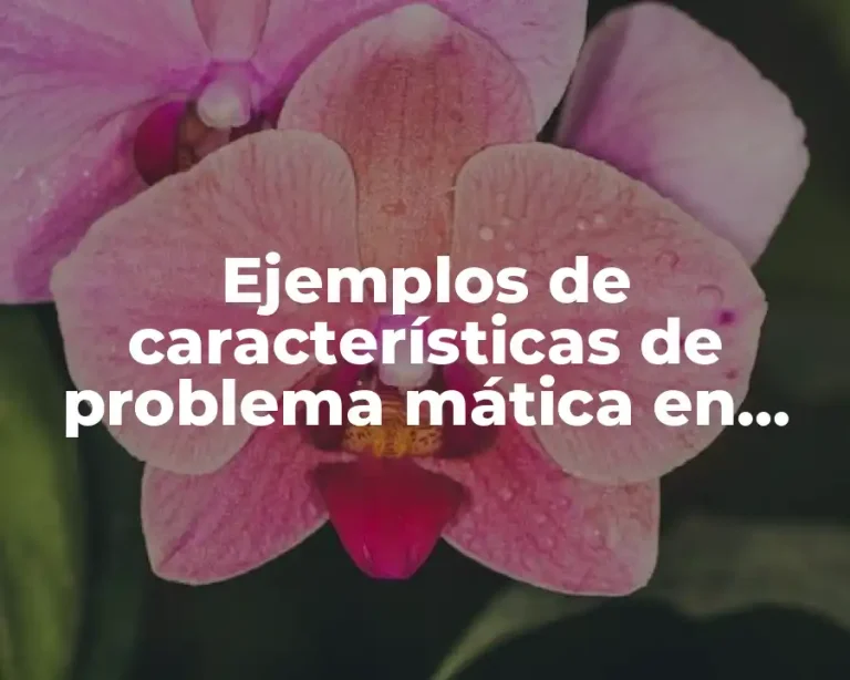 Ejemplos de características de problema mática en una sociedad