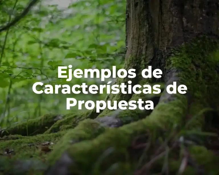 Ejemplos de Características de Propuesta