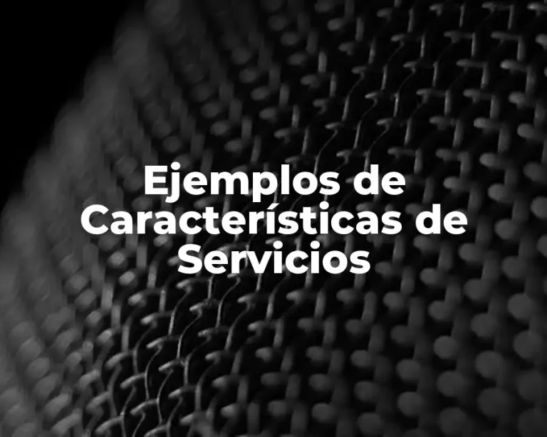 Ejemplos de Características de Servicios