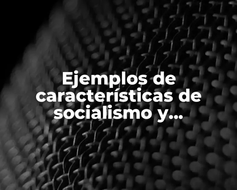 Ejemplos de características de socialismo y capitalismo