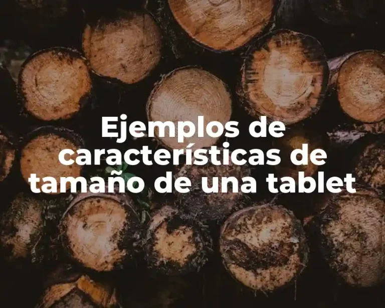 Ejemplos de características de tamaño de una tablet