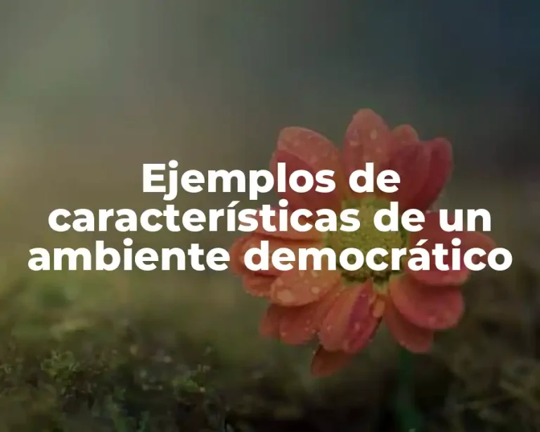 Ejemplos de características de un ambiente democrático