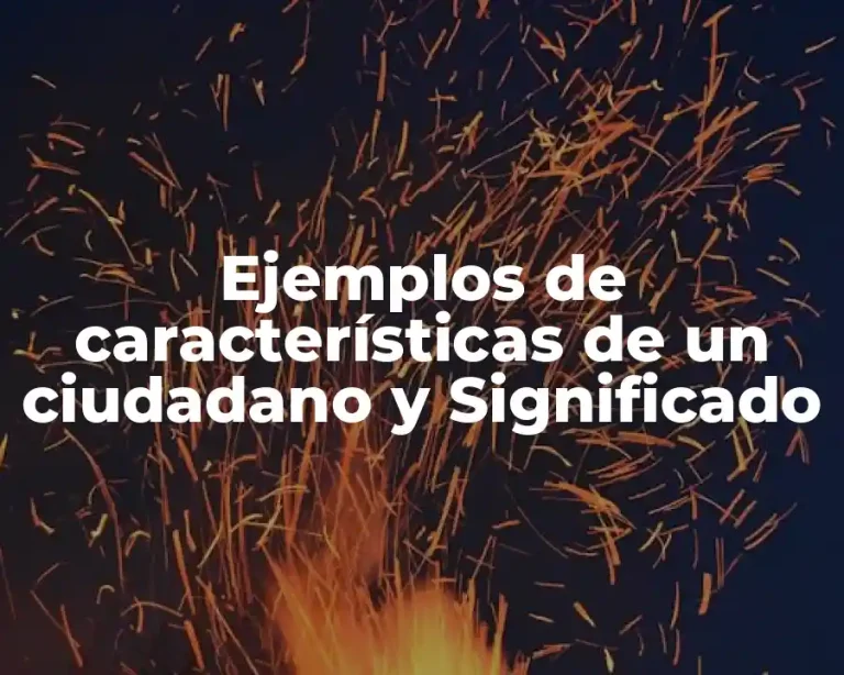 Ejemplos de características de un ciudadano y Significado