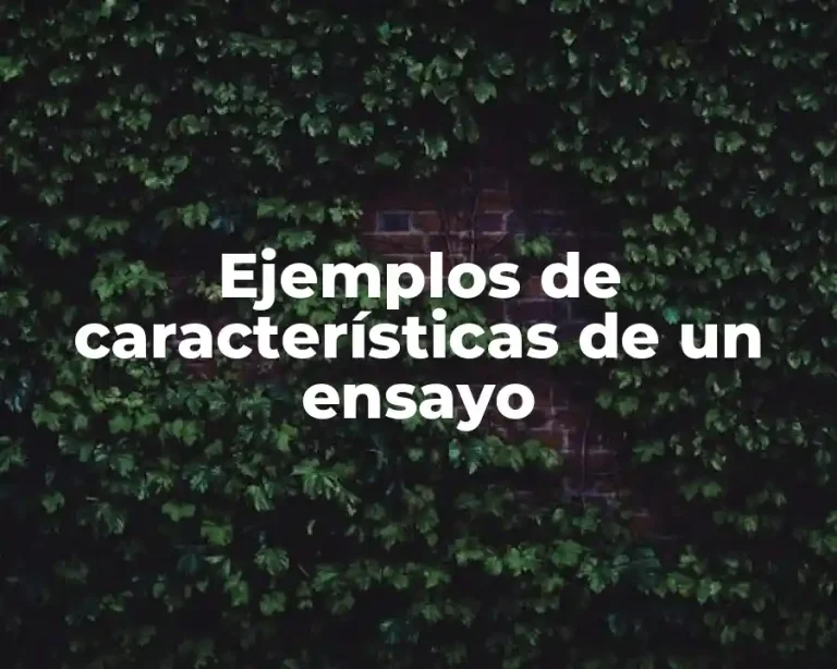 Ejemplos de características de un ensayo