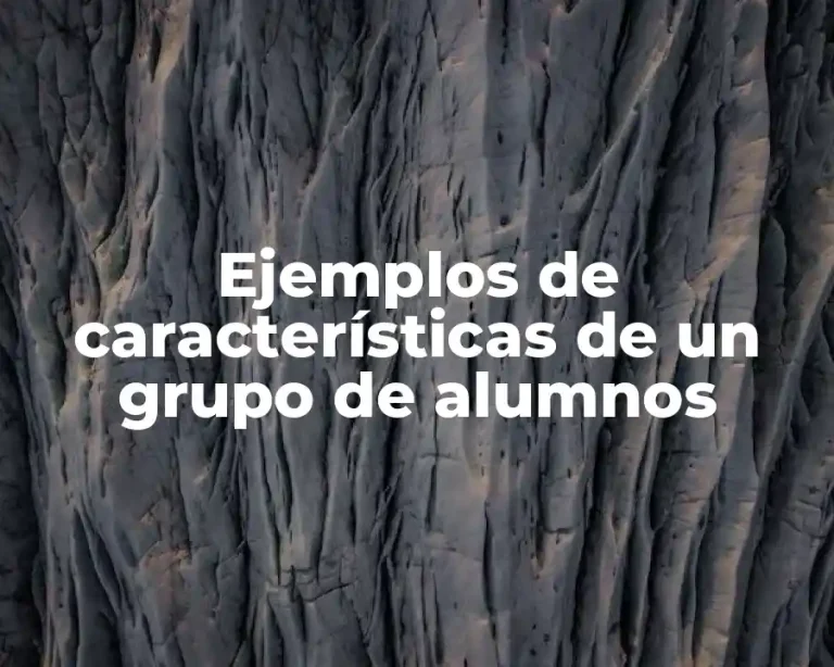 Ejemplos de características de un grupo de alumnos