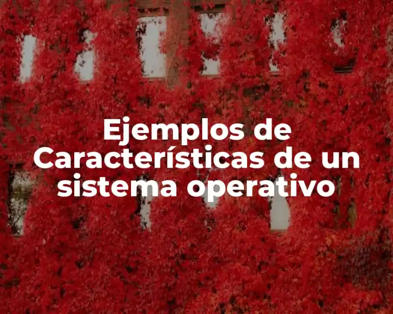 Ejemplos de Características de un sistema operativo