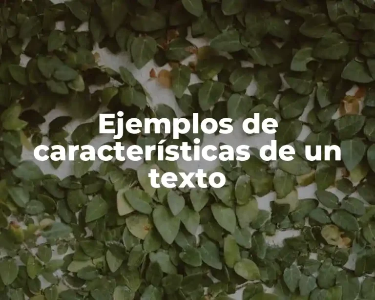 Ejemplos de características de un texto