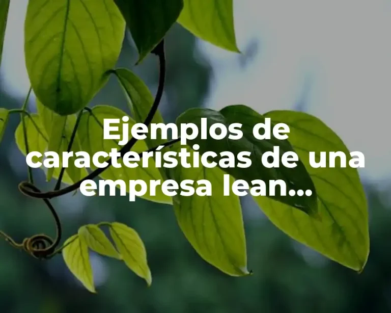 Ejemplos de características de una empresa lean manufacturing