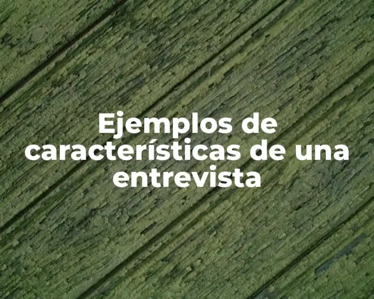 Ejemplos de características de una entrevista