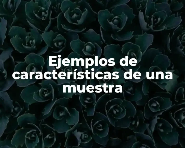 Ejemplos de características de una muestra
