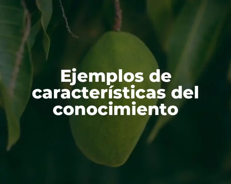Ejemplos de características del conocimiento