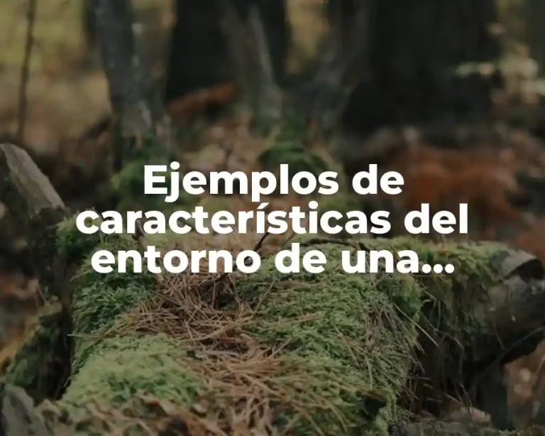 Ejemplos de características del entorno de una empresa