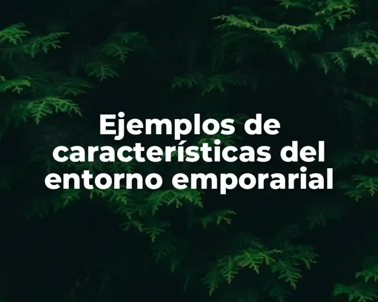 Ejemplos de características del entorno emporarial