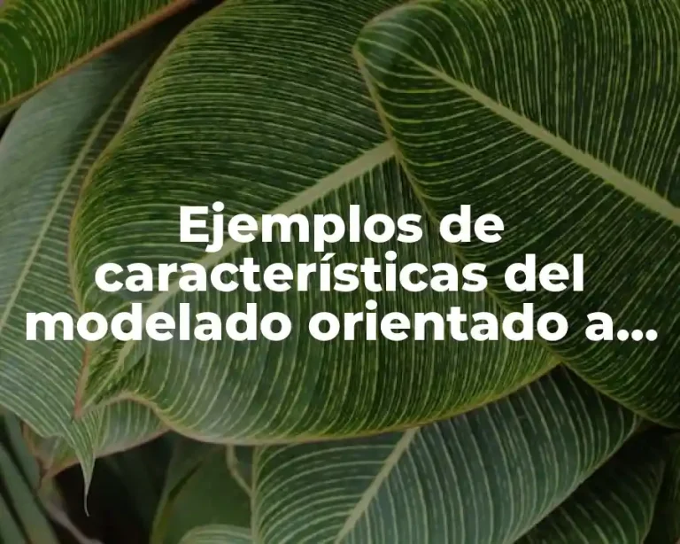 Ejemplos de características del modelado orientado a objetos y Significado