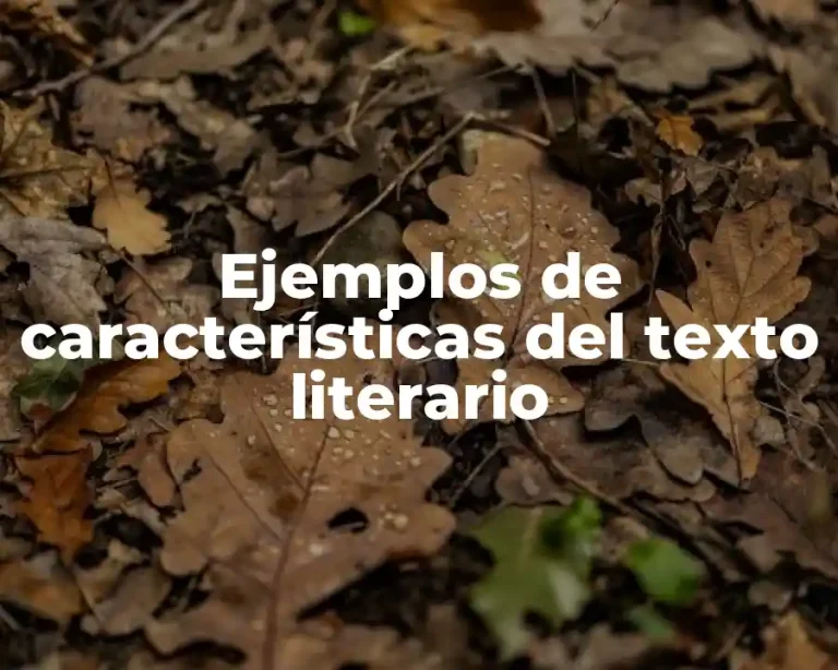 Ejemplos de características del texto literario