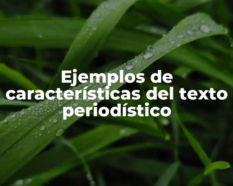 Ejemplos de características del texto periodístico