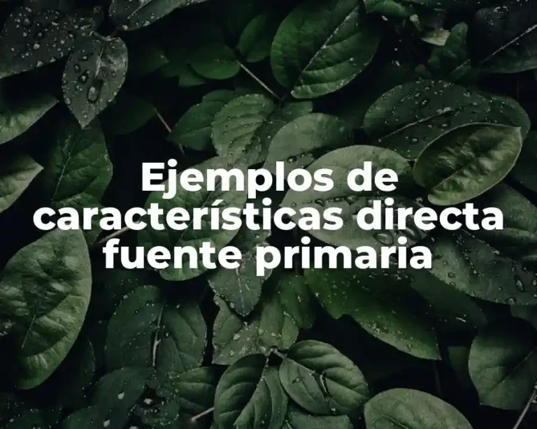 Ejemplos de características directa fuente primaria