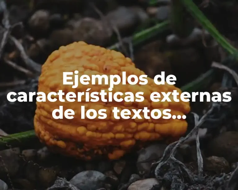 Ejemplos de características externas de los textos funcionales