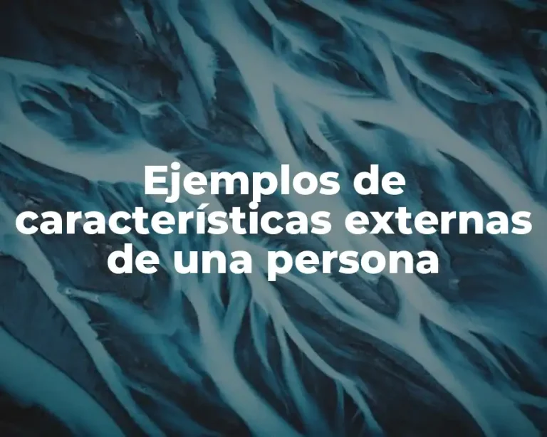 Ejemplos de características externas de una persona