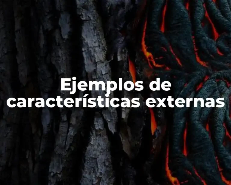 Ejemplos de características externas