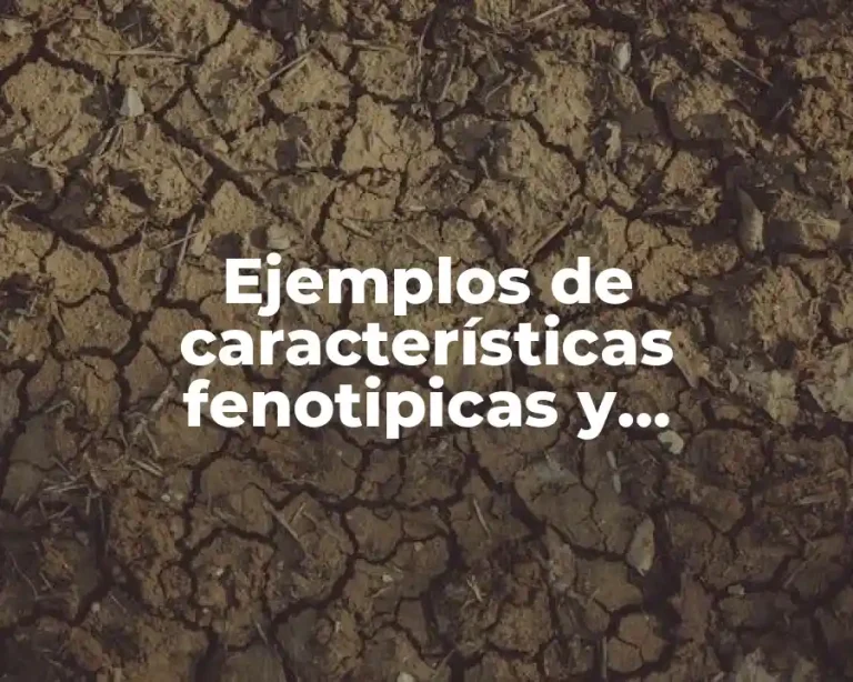 Ejemplos de características fenotipicas y genotipicas