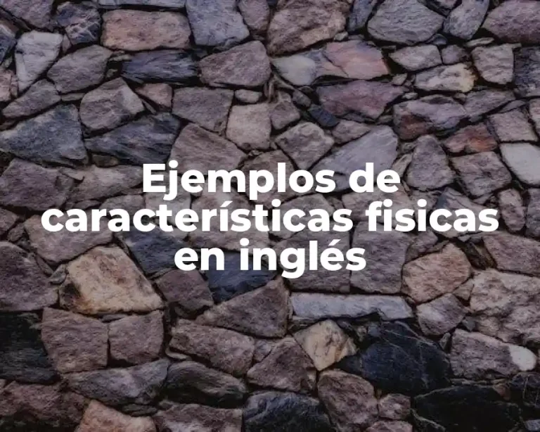 Ejemplos de características fisicas en inglés