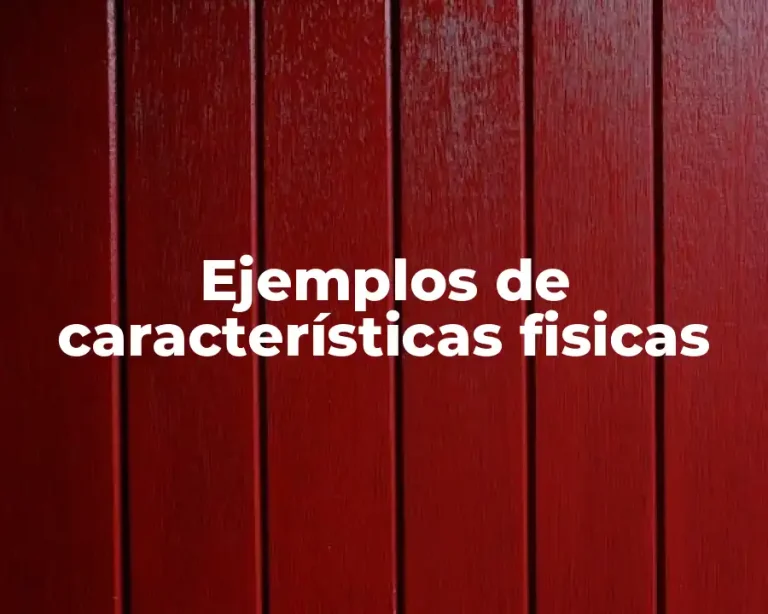 Ejemplos de características fisicas