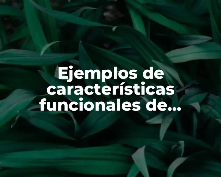 Ejemplos de características funcionales de sinartrosis