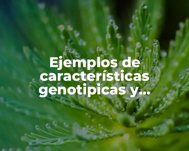 Ejemplos de características genotipicas y fenotipicas