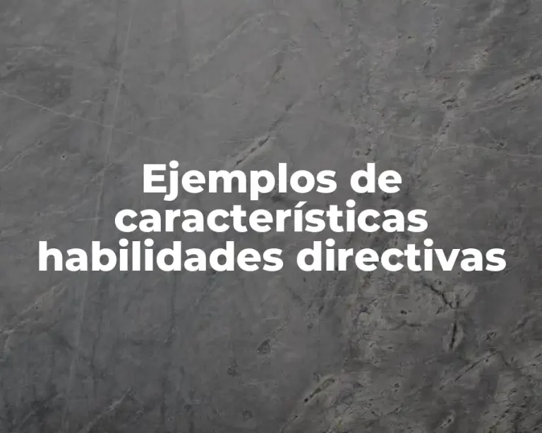 Ejemplos de características habilidades directivas