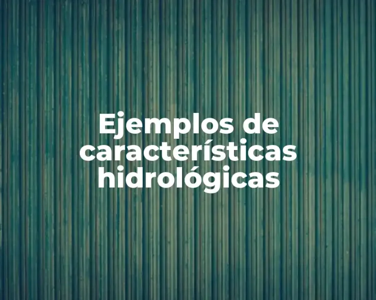 Ejemplos de características hidrológicas