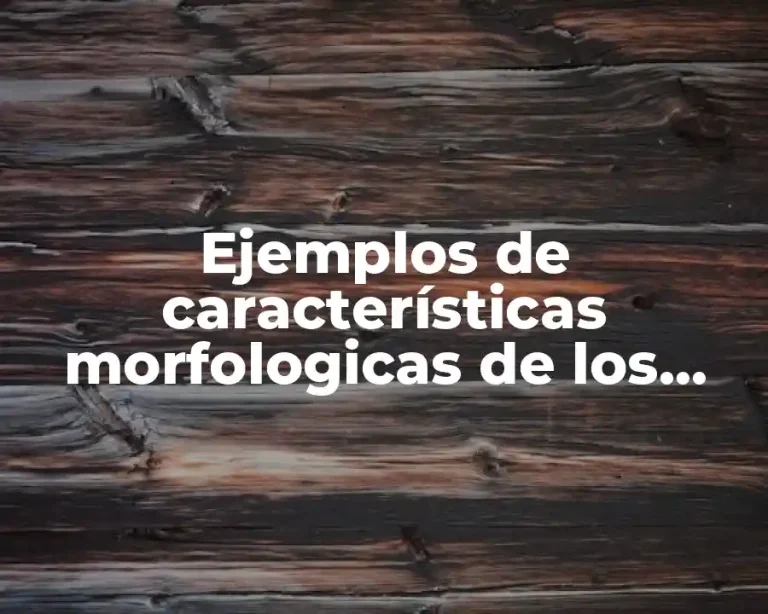 Ejemplos de características morfologicas de los seres vivos