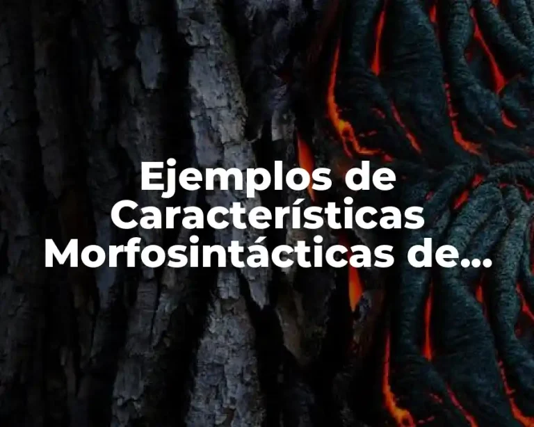 Ejemplos de Características Morfosintácticas de Argentina