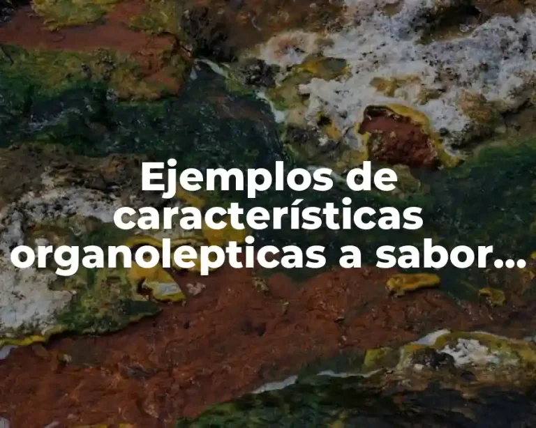 Ejemplos de características organolepticas a sabor y Significado