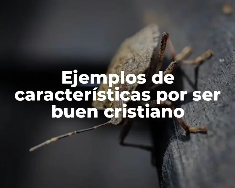 Ejemplos de características por ser buen cristiano