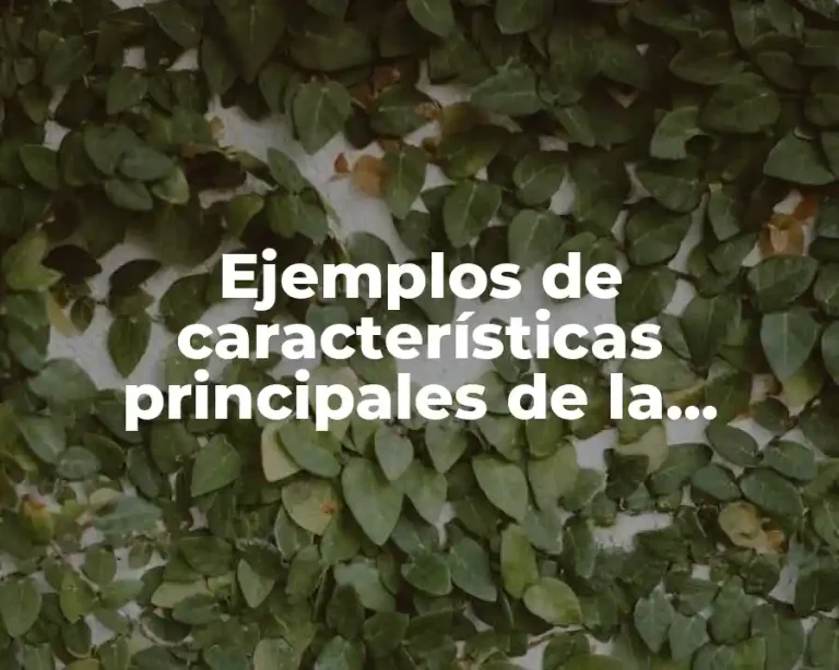 Ejemplos de características principales de la gestión financiera