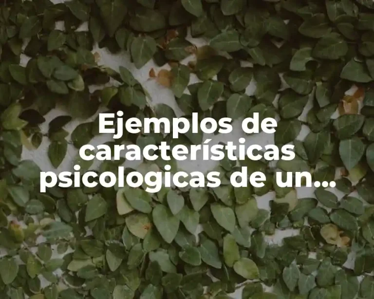 Ejemplos de características psicologicas de un personaje