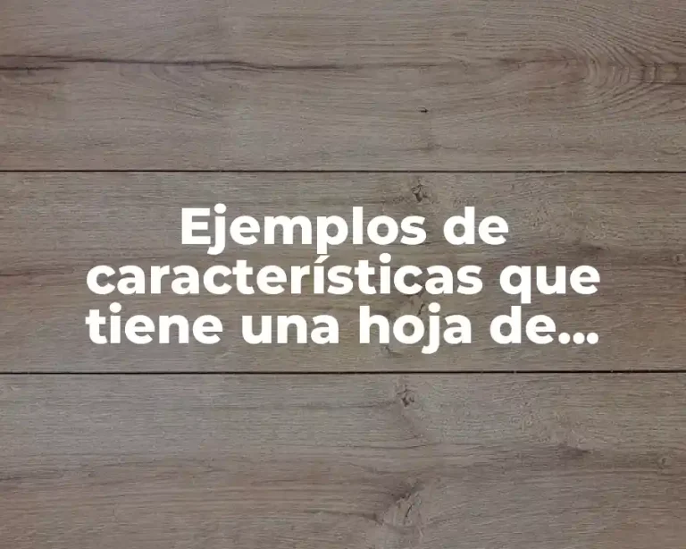 Ejemplos de características que tiene una hoja de cálculo